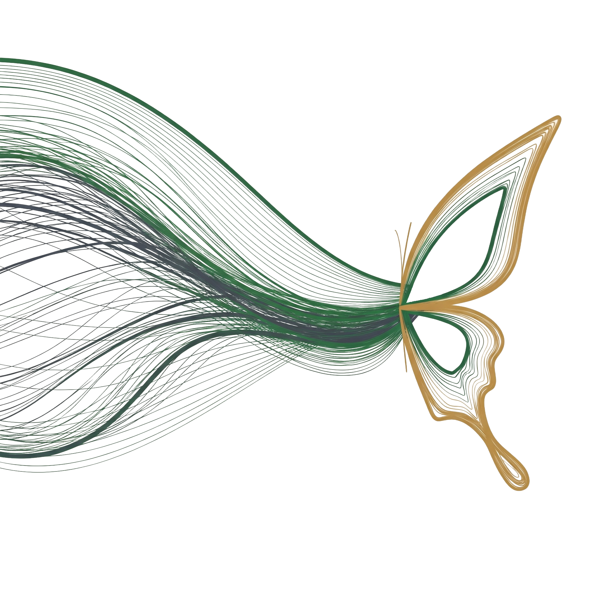 Abstract butterfly representing transformation